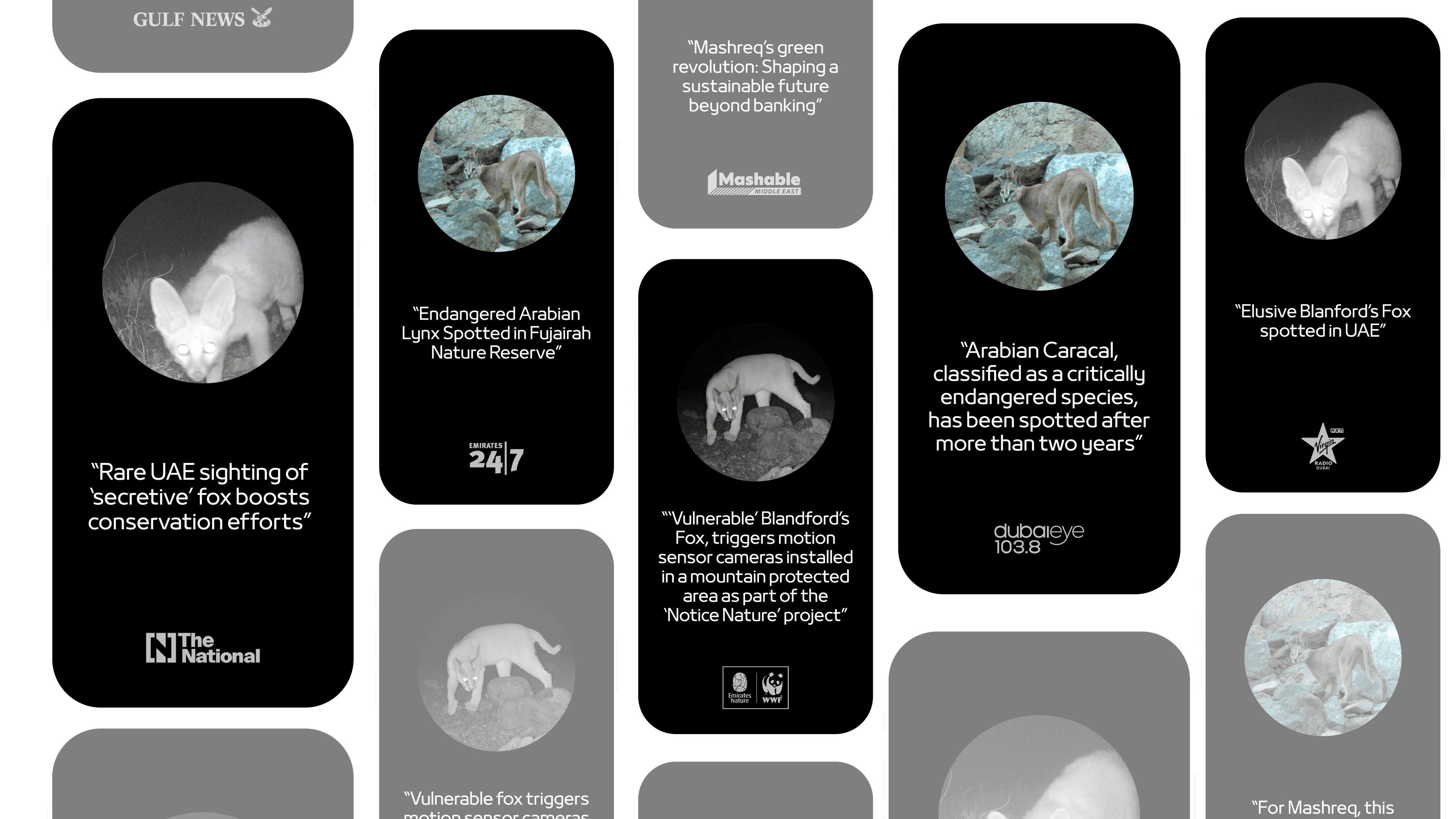 Cards of Hope Media Clippings Cards of Hope Media Clippings